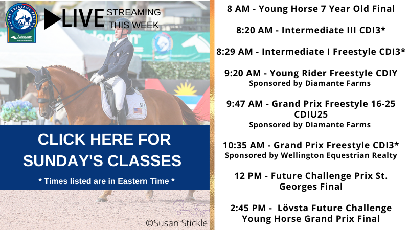 Global Dressage Festival Global Dressage Festival